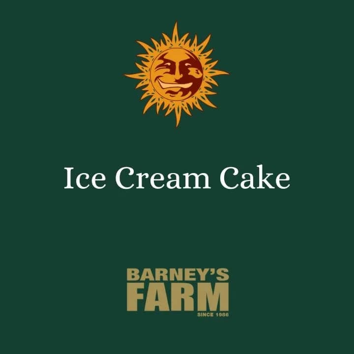 Ice Cream Cake