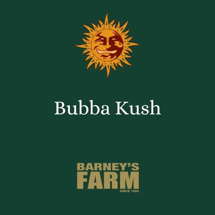 Bubba Kush