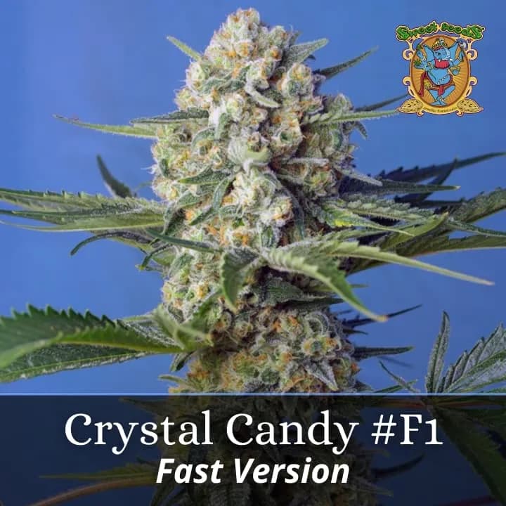 Crystal Candy F1 Fast Version PROMO