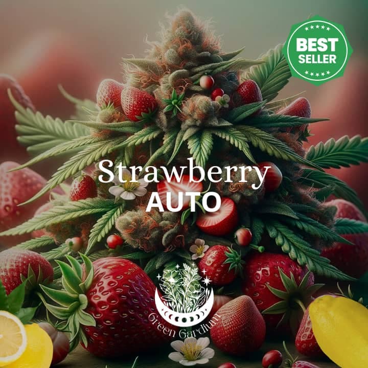 Strawberry Auto