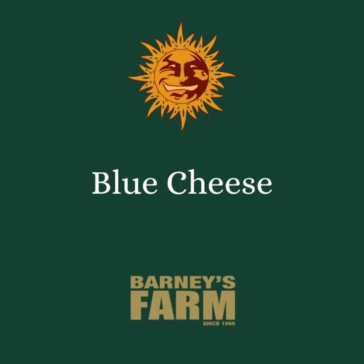 Blue Cheese