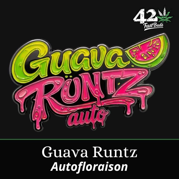 Guava Runtz Auto PROMO