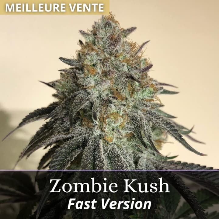 Zombie Kush Fast Version