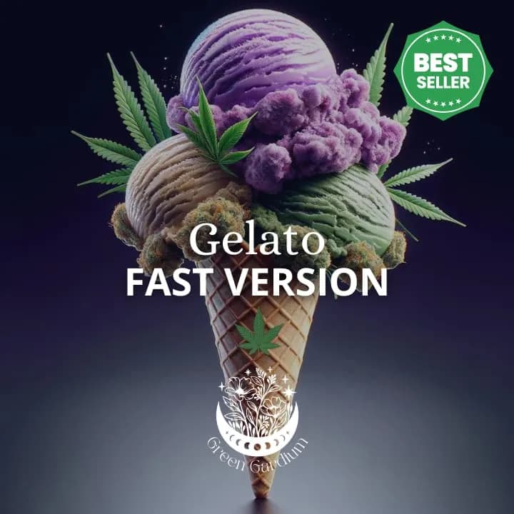 Gelato Fast Version