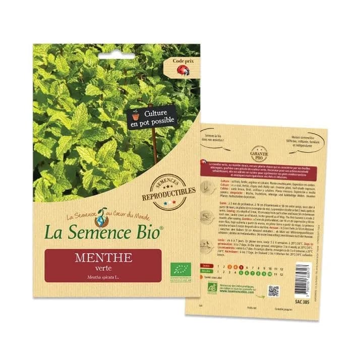 Menthe Verte