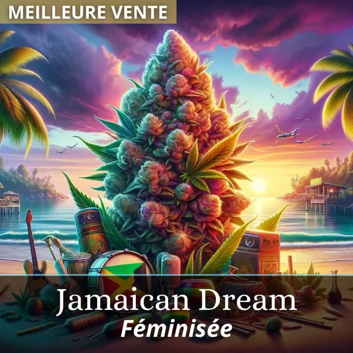 Jamaican Dream