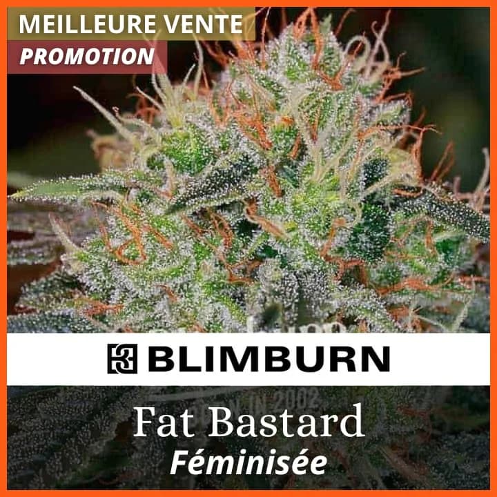 Fat Bastard PROMO