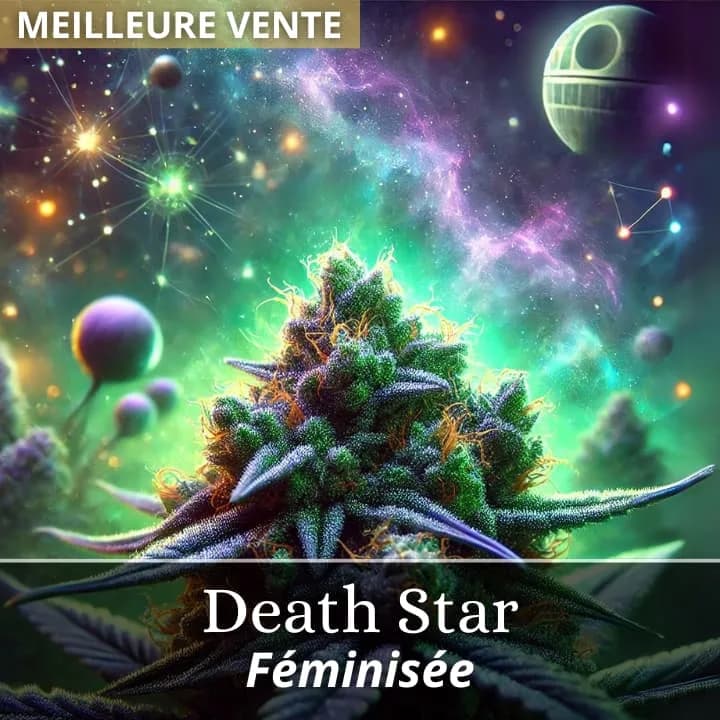 Death Star