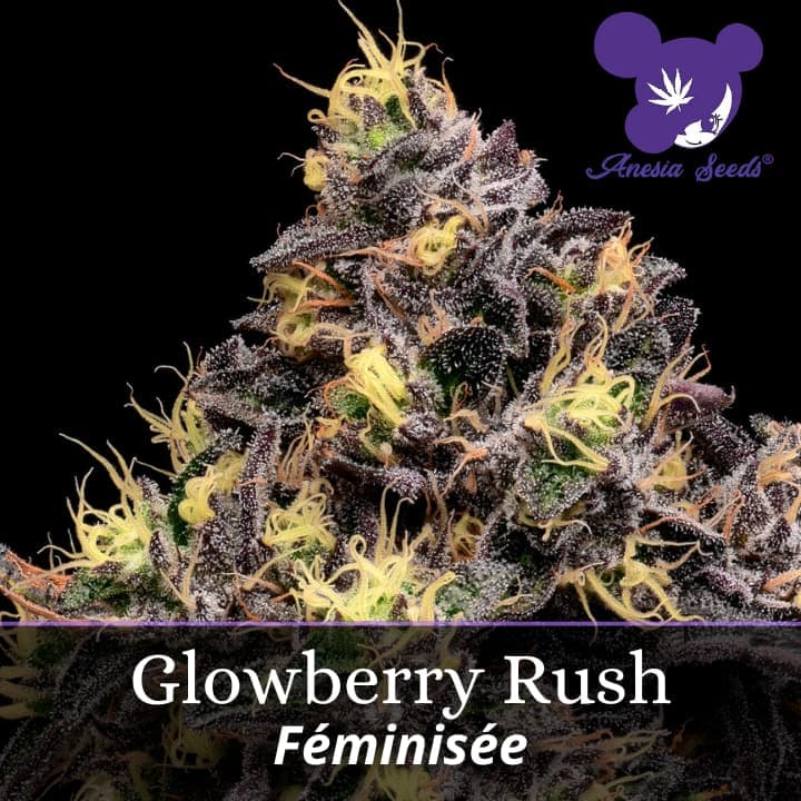 Glowberry Rush