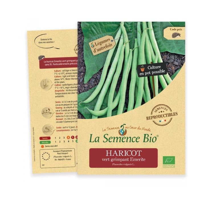 Haricot Vert Grimpant Emerite