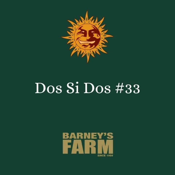 Dos Si Dos #33