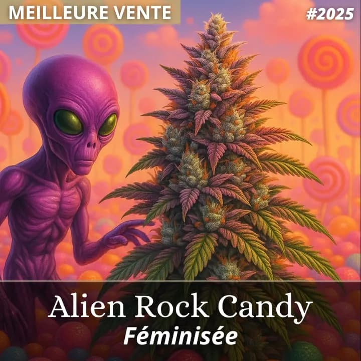 Alien Rock Candy