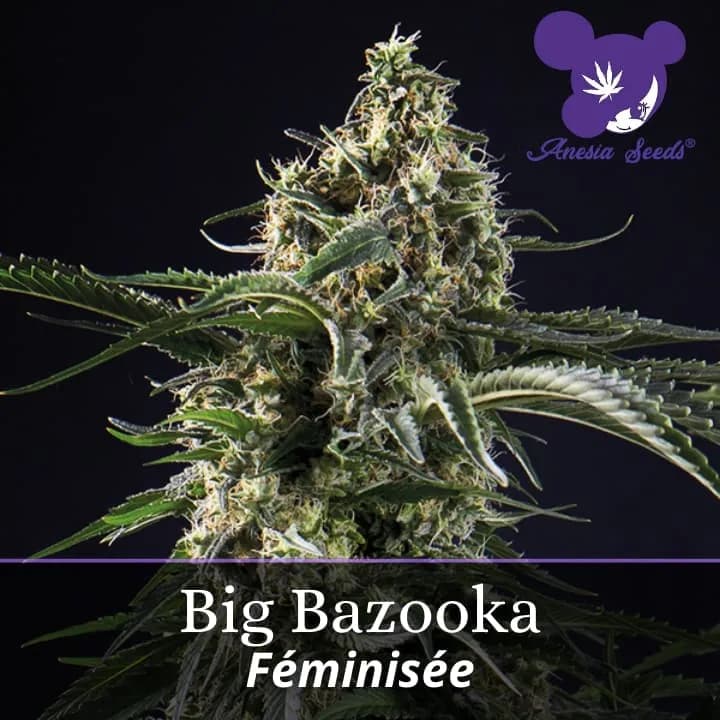 Big Bazooka