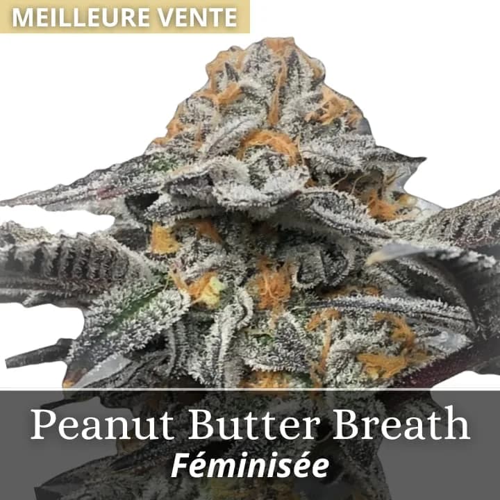 Peanut Butter Breath