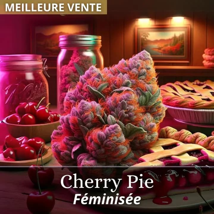 Cherry Pie