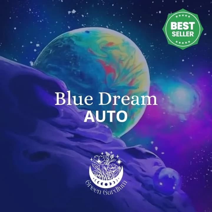 Blue Dream Auto