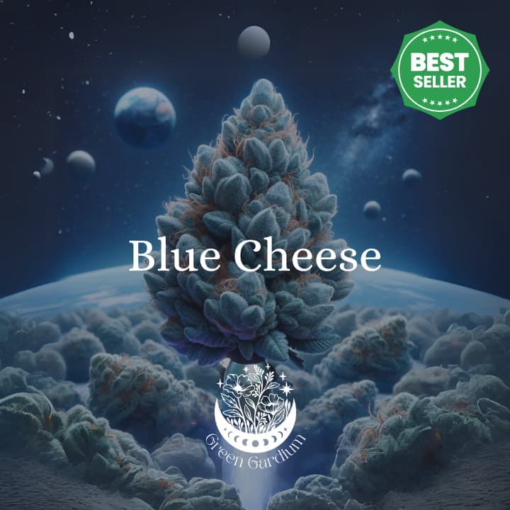 Blue Cheese