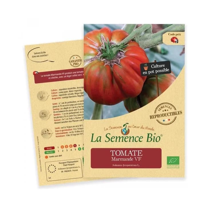 Tomate Marmande VF