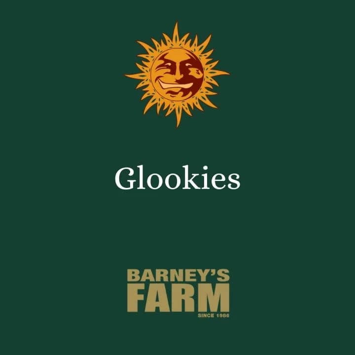 Glookies