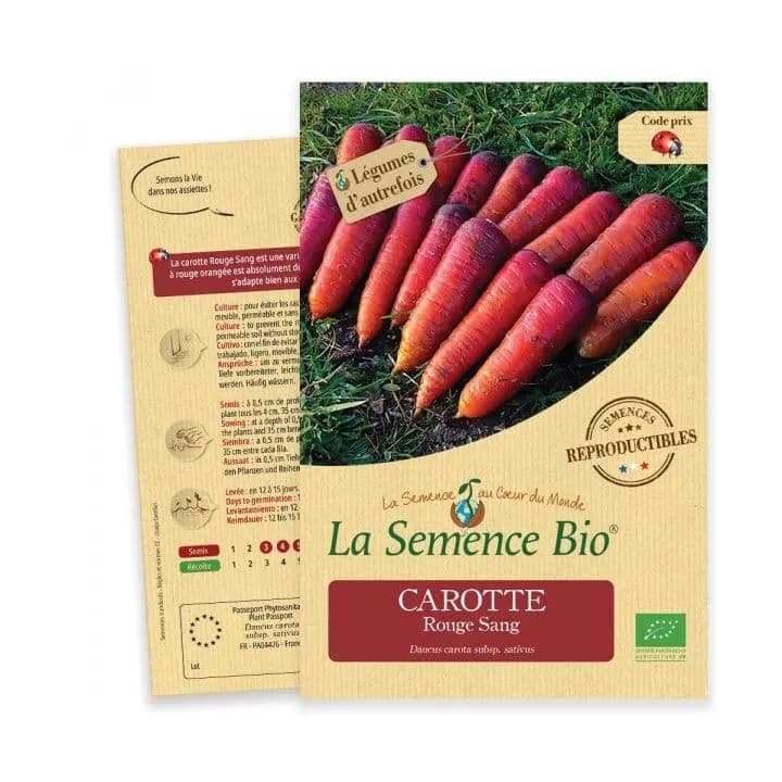Carotte Rouge sang