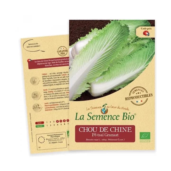 Chou de Chine Pé-tsaï Granaat
