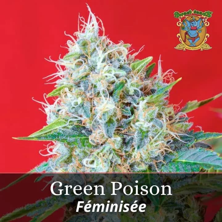 Green Poison PROMO