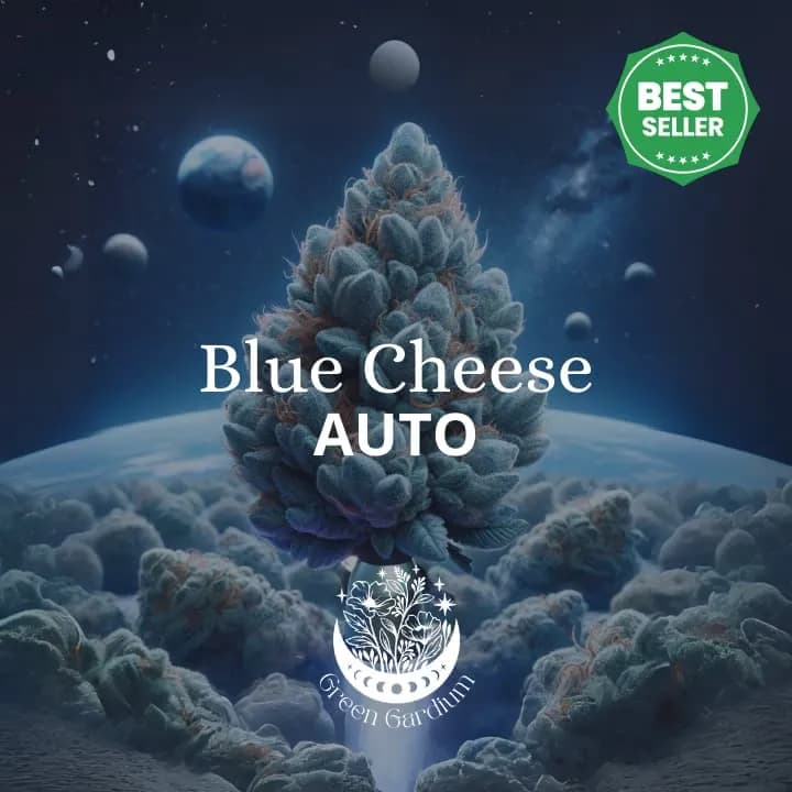 Blue Cheese Auto