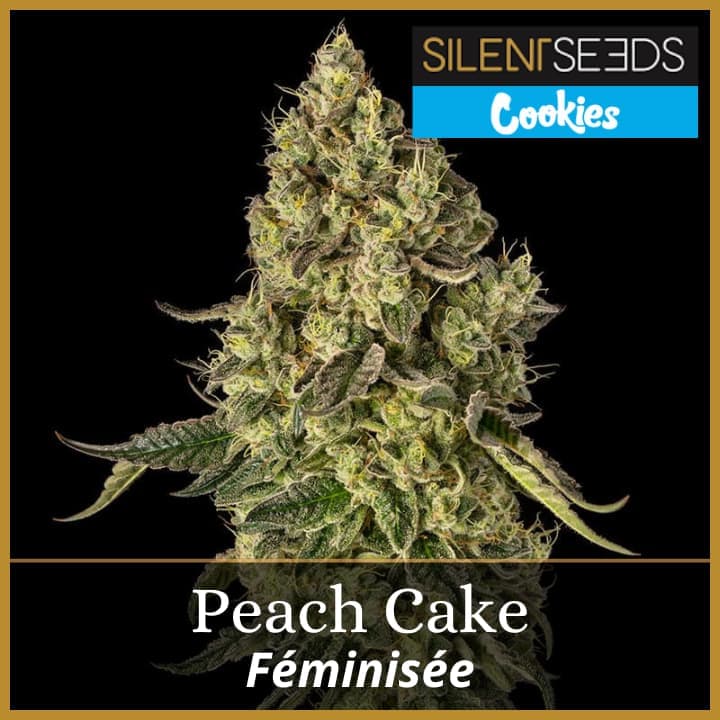 Peach Cake
