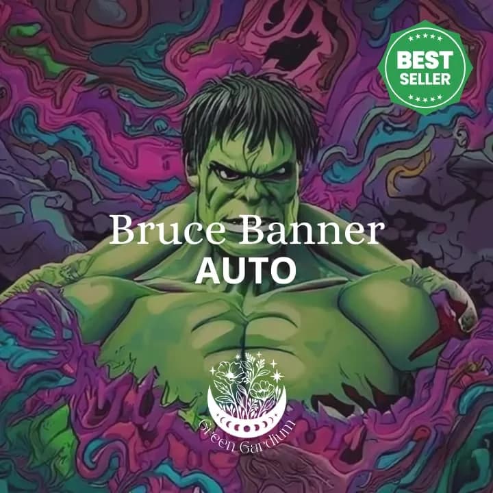 Bruce Banner Auto