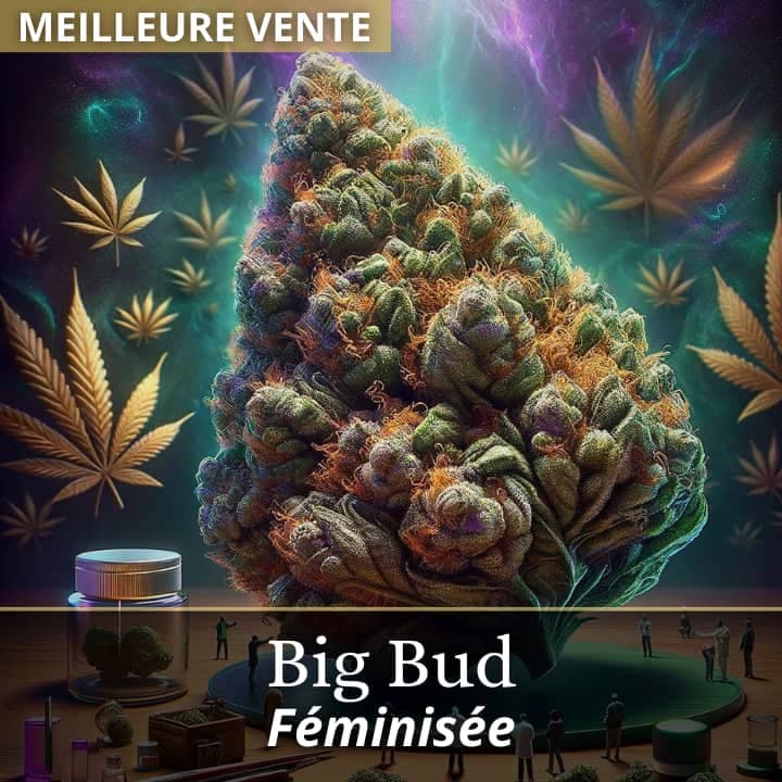 Big Bud
