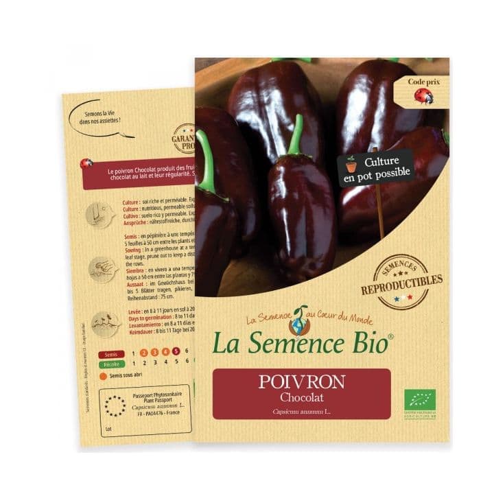Poivron Chocolat