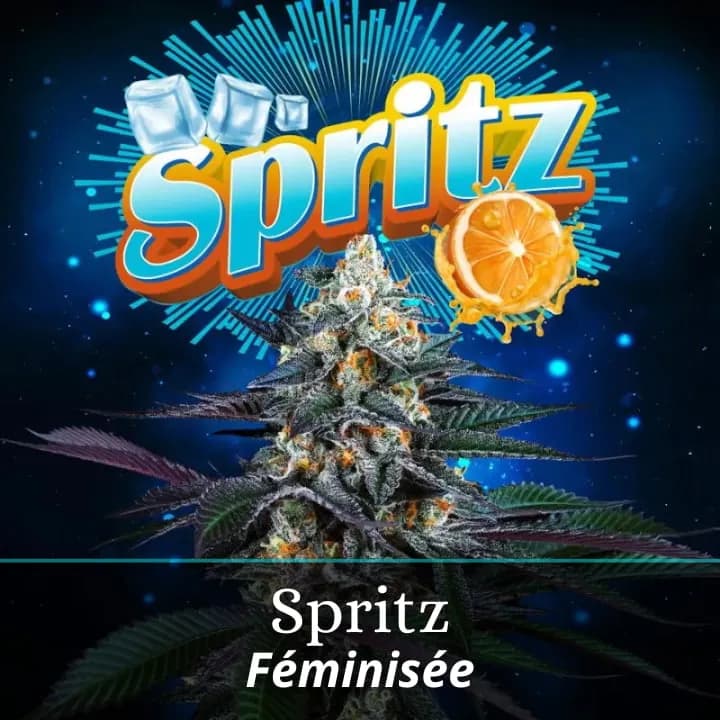 Spritz