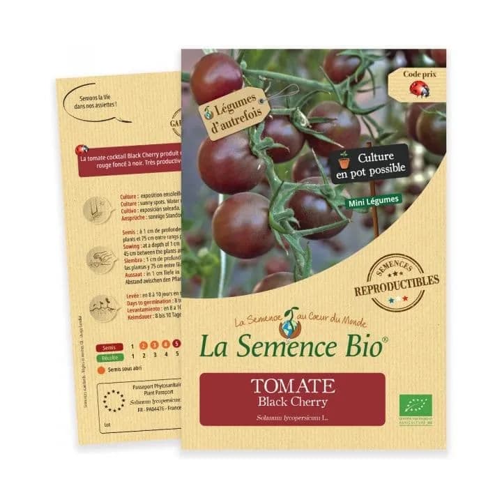 Tomate Black Cherry