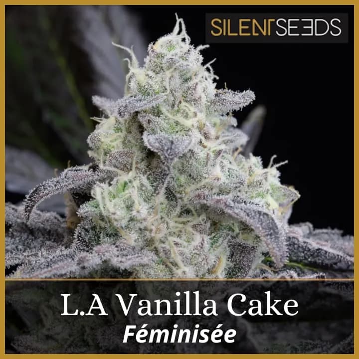 L.A Vanilla Cake