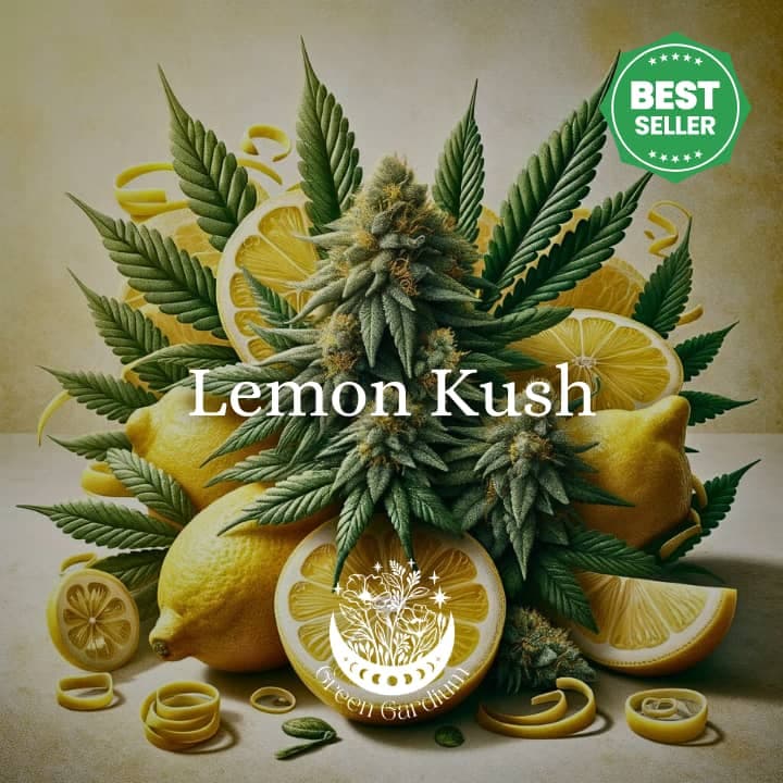 Lemon Kush