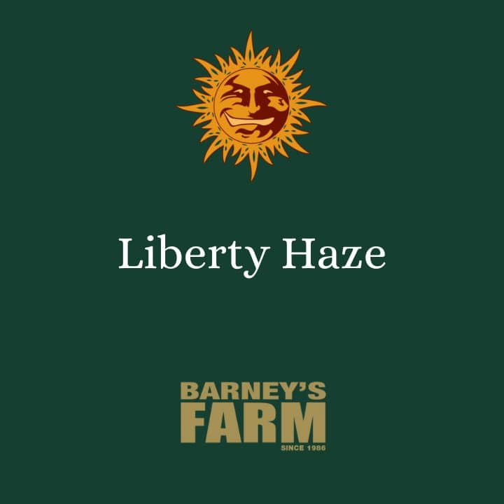 Liberty Haze