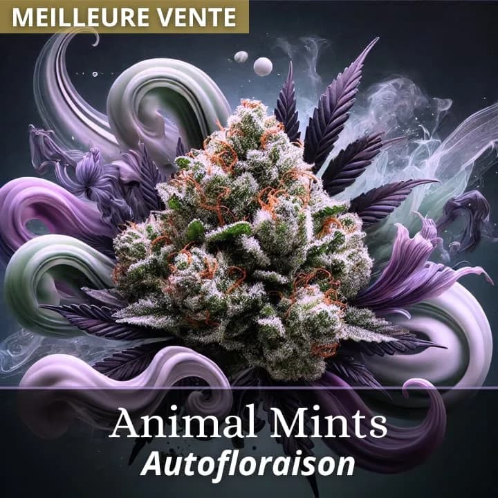 Animal Mints Auto