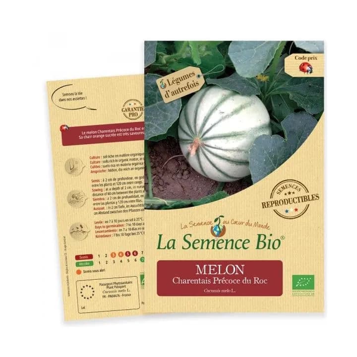 Melon Charentais superprécoce du Roc