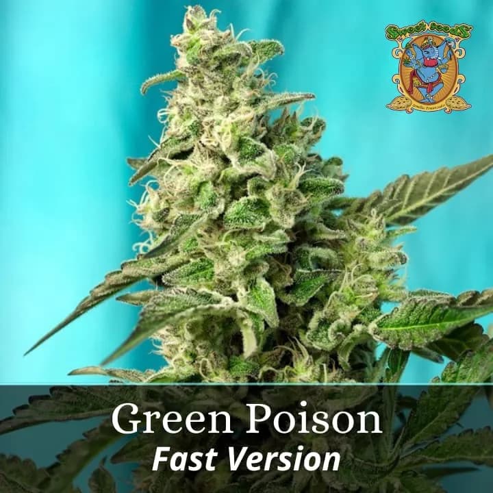 Green Poison Fast Version PROMO