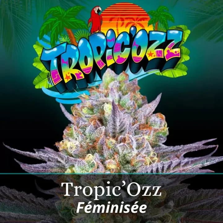 Tropic'Ozz