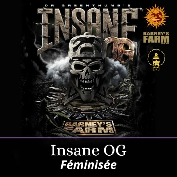 Insane OG