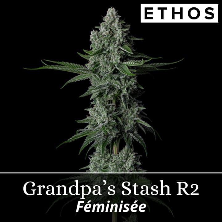 Grandpa’s Stash R2