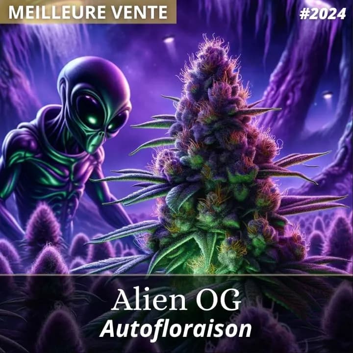 Alien OG Auto