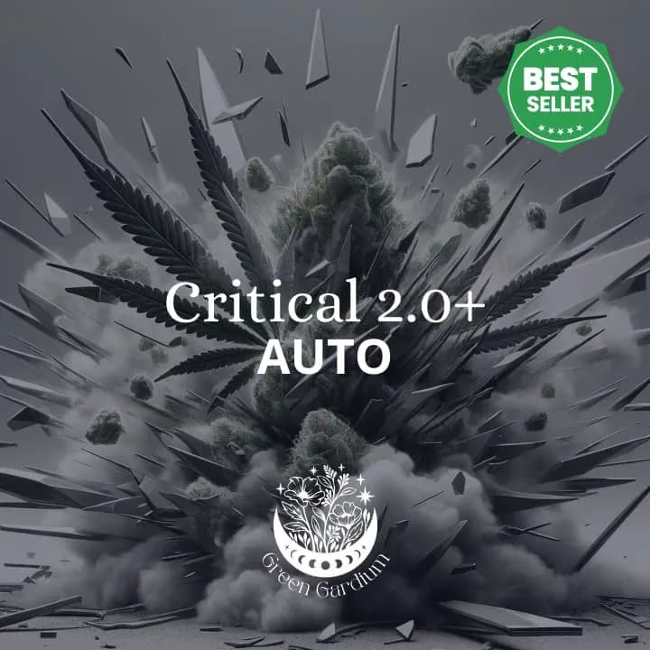 Critical 2.0+ Auto