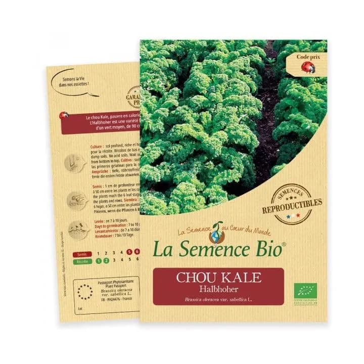 Chou Kale Halbhoher