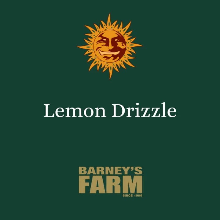 Lemon Drizzle