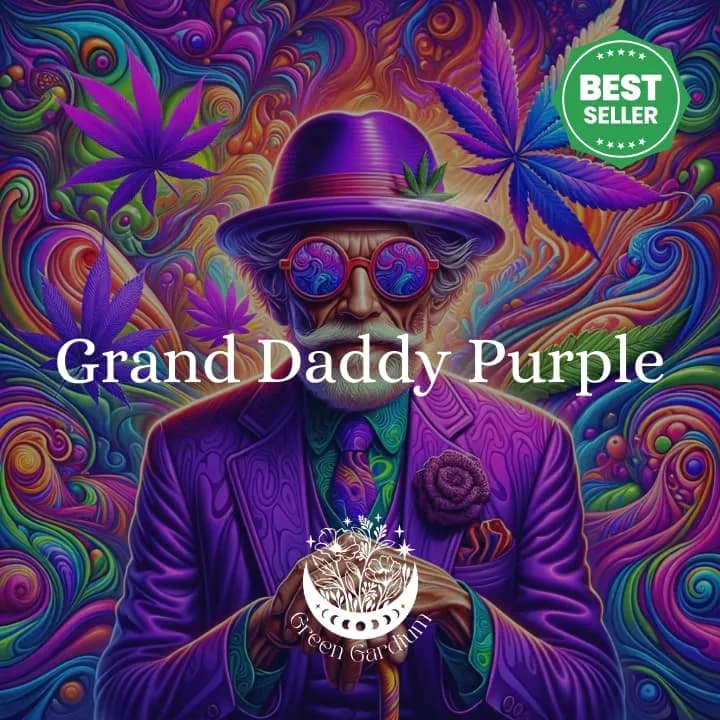 Grand Daddy Purple