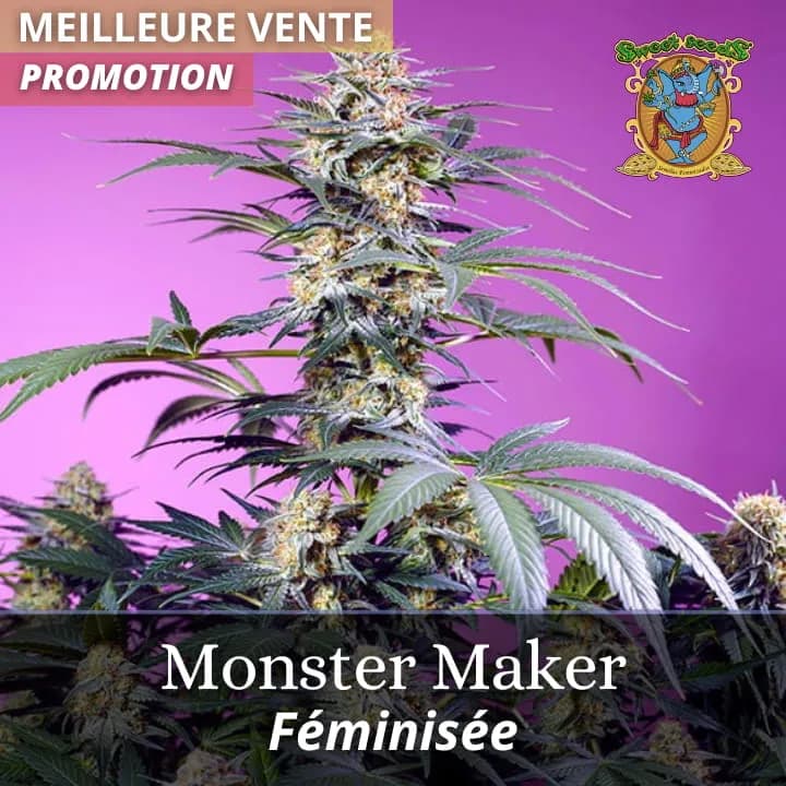 Monster Maker PROMO