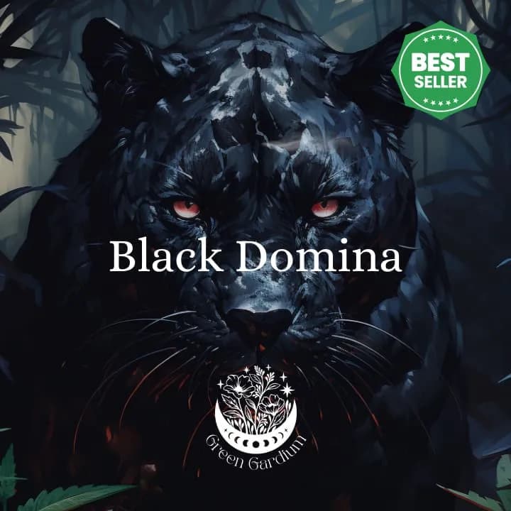 Black Domina