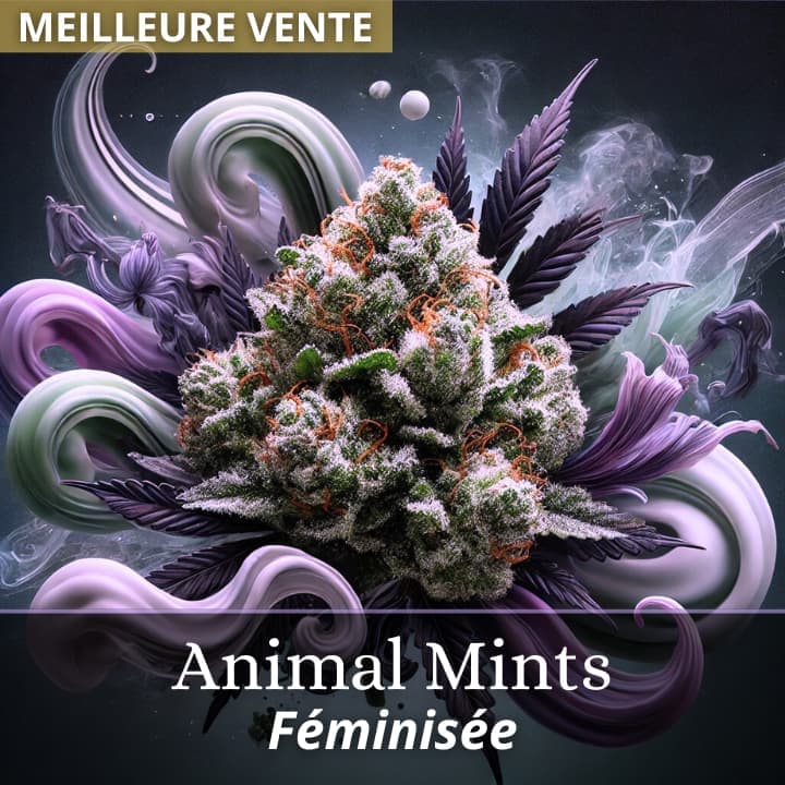 Animal Mints